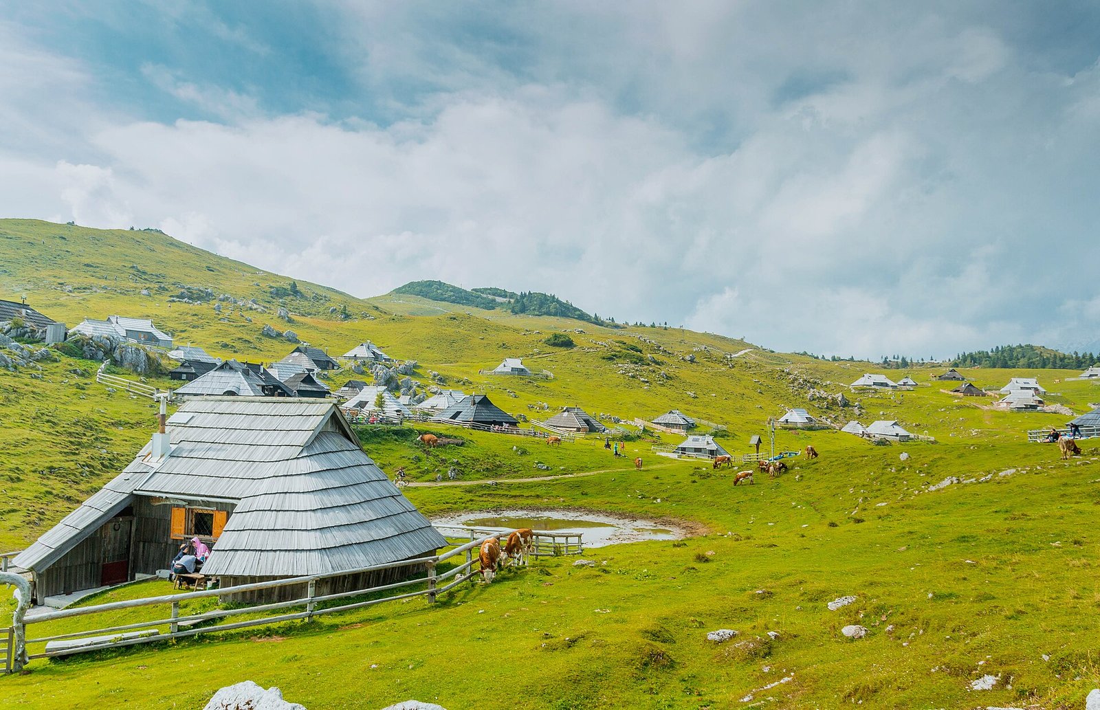 Walking paths across the green plateau of Velika Planina in Slovenia