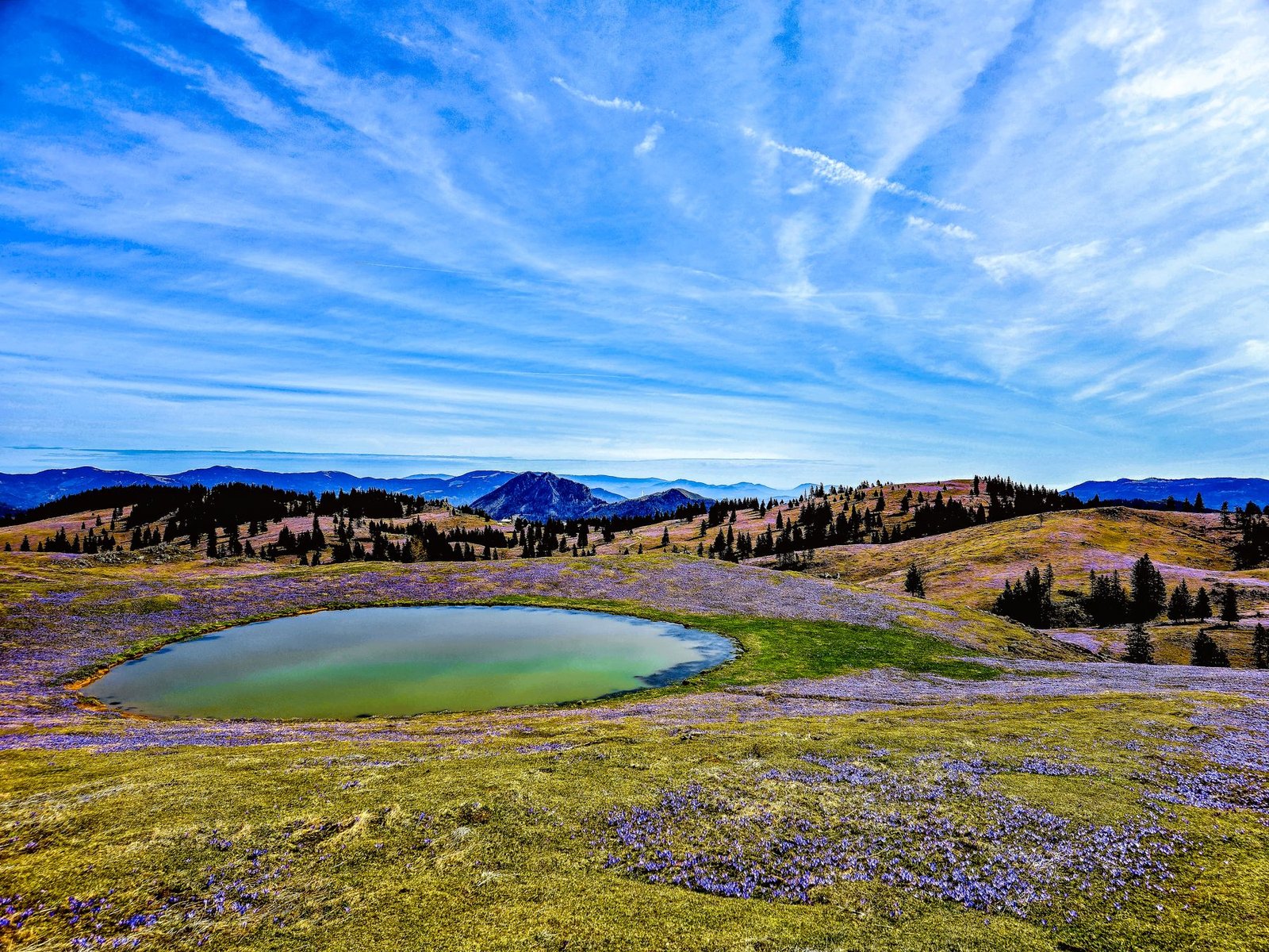 Explore Slovenia 5 Alpine landscape and mountain pasture at Velika Planina, Slovenia