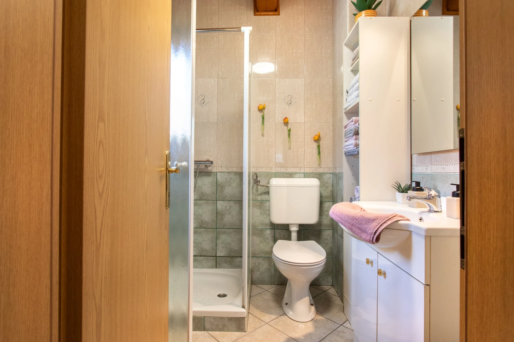 Butterfly Place 28 Bathroom with shower and toilet