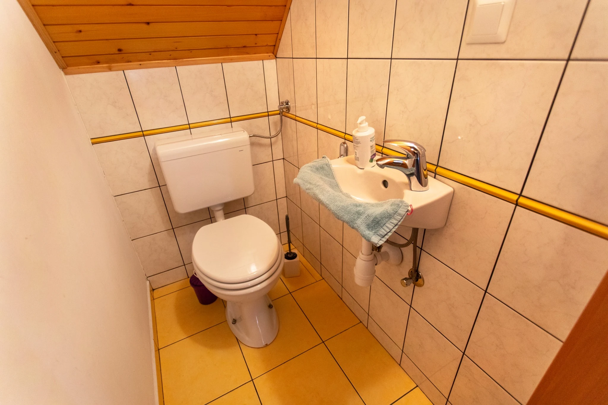 Butterfly Place 31 Separate toilet and washbasin