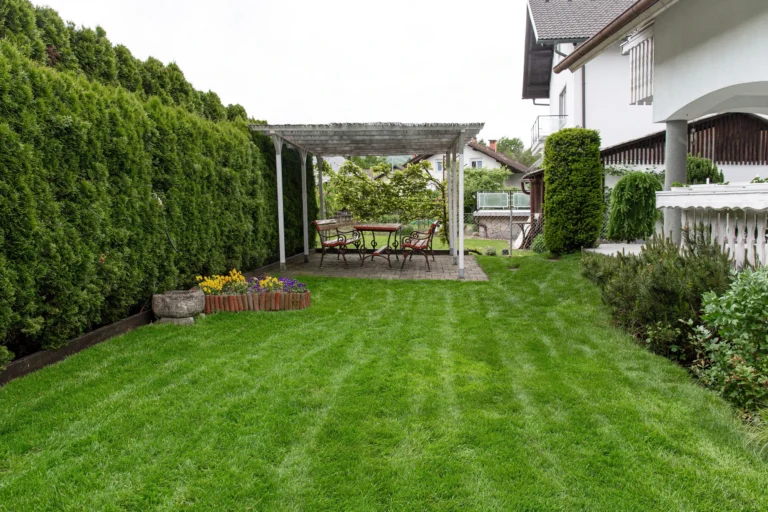 Garden and outdoor seating area