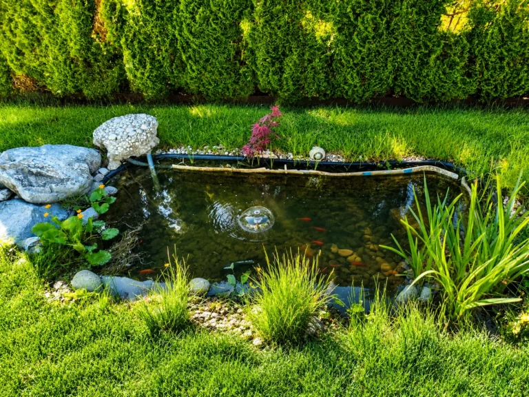 Garden pond