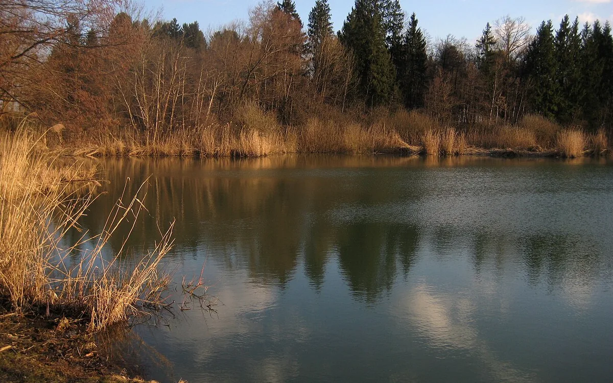 Kranj 8 Čukova jama pond in the Bobovek nature area near Kranj