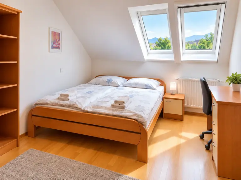 Skylight Room at Private Rooms Kranj